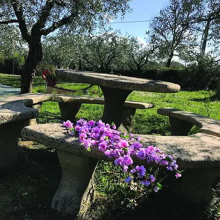La Viola Casa vacanze Casperia