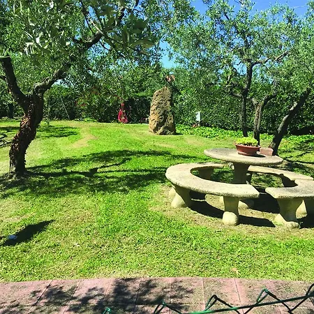 La Viola
