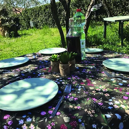 La Viola Casperia